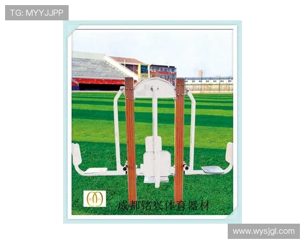 健身器材适宜人群分类:从儿童到老年人都有好选择 健身器材适宜人群分类:从儿童到老年人都有好选择