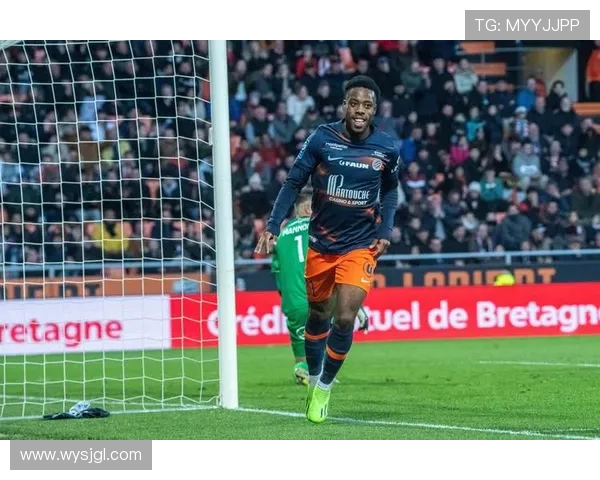 法甲球员个人技能评分体系与评分依据解析 法甲球员个人技能评分体系与评分依据解析