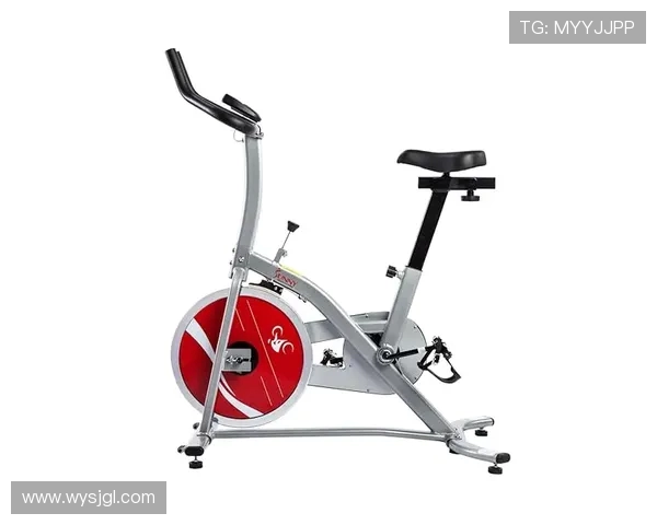 蹬车式健身器材功能及锻炼效果全面介绍