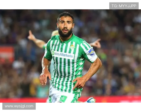 金元足球退潮后：外援政策如何重塑职业联赛竞争新格局