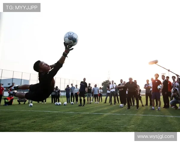零距离体验德甲赛事直播的五大途径与观看技巧