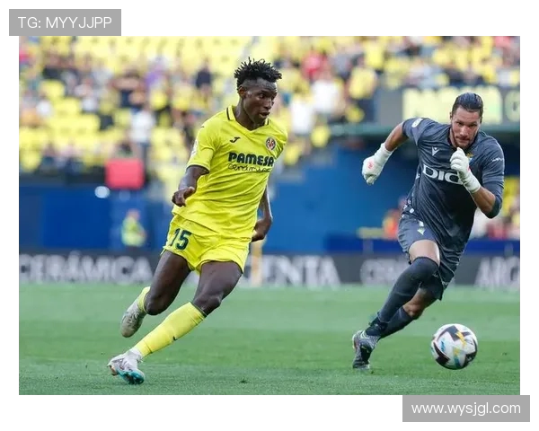 免费西甲直播软件下载渠道与安全性分析