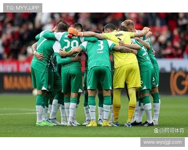 德甲各支球队市值排名及财务实力分析