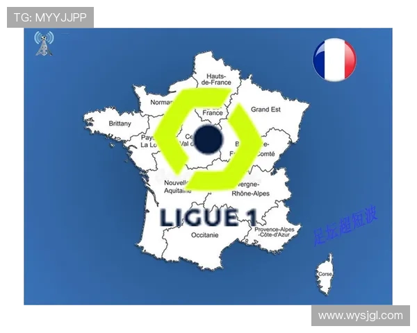 法甲比赛统计图表解读及数据趋势分析 法甲比赛统计图表解读及数据趋势分析