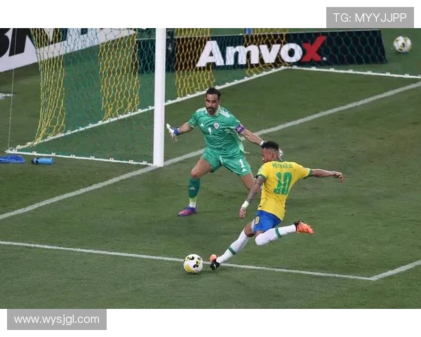 巴西世界杯夺冠年份见证足球历史新篇章，回顾激情与荣耀的辉煌时刻