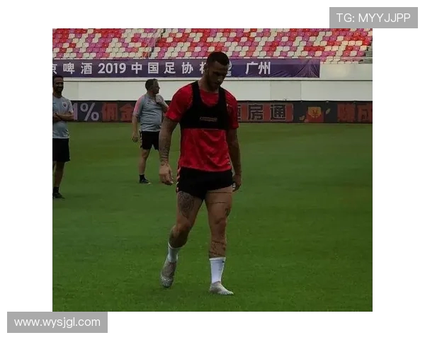 英超球员胡尔克斯的职业生涯回顾及影响力