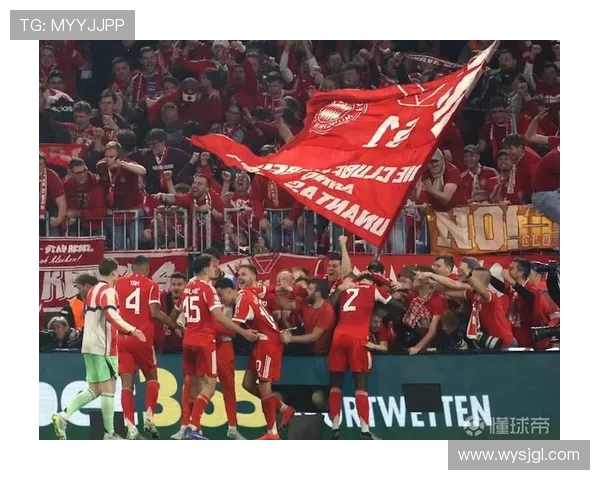 拜仁球迷组织指责警方暴力袭击称责任完全在警方一方